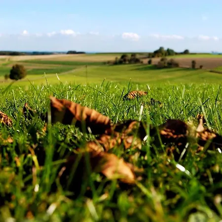 Mit Garten, Grill Und Panoramablick * Lutzerath